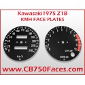 1975 Kawasaki Z1b face plates km/h