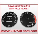 1975 Kawasaki Z1B face plates mph